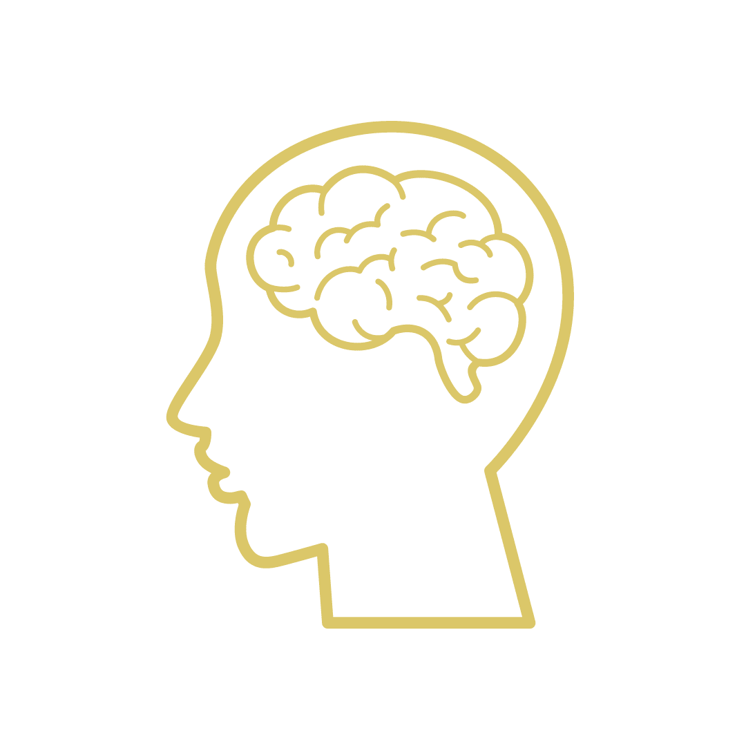 A man's head with a visible brain